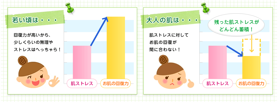 若い頃は・・・回復力が高いから、少しくらいの無理やストレスはへっちゃら！大人の肌は・・・肌ストレスに対してお肌の回復が間に合わない！