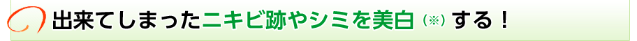 出来てしまったニキビ跡やシミを美白 （※）する！