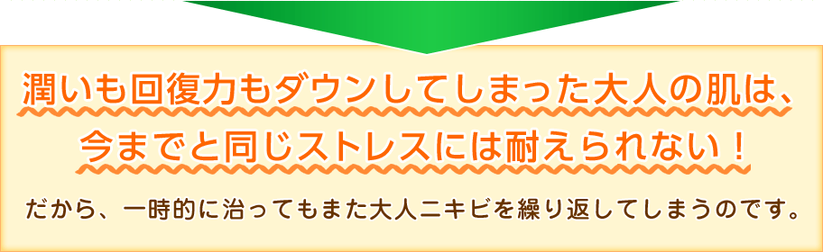 潤いも回復力もダウンしてしまった大人の肌は、今までと同じストレスには耐えられない！だから、一時的に治ってもまた大人ニキビを繰り返してしまうのです。