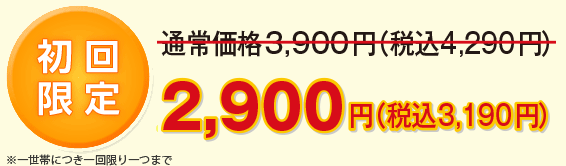 初回限定！通常価格3,900円（税別）⇒2,900円（税別）