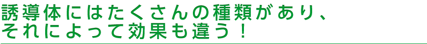 誘導体にはたくさんの種類があり、それによって効果も違う！